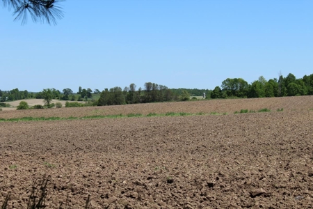 Hobby Farm  Bordering Neillsville Industrial Park - image 24