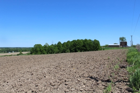 Hobby Farm  Bordering Neillsville Industrial Park - image 30