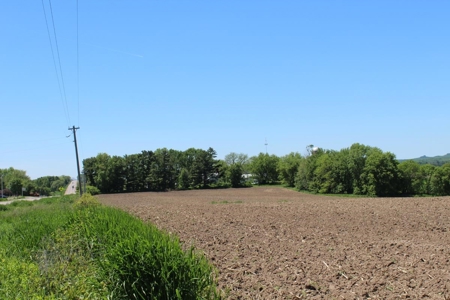 Hobby Farm  Bordering Neillsville Industrial Park - image 26