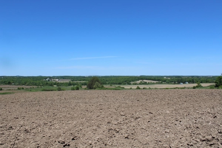 Hobby Farm  Bordering Neillsville Industrial Park - image 29