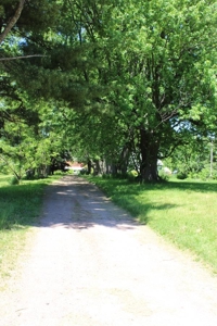 Hobby Farm  Bordering Neillsville Industrial Park - image 17