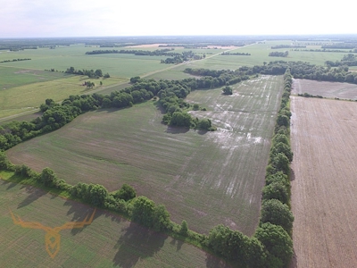 Shelby County Land Auction - image 3