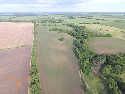 Shelby County Land Auction - image 5