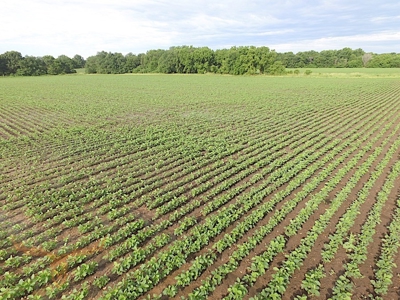 Shelby County Land Auction - image 9