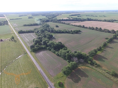 Shelby County Land Auction - image 4