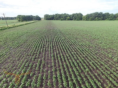 Shelby County Land Auction - image 10