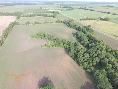 Shelby County Land Auction - image 6