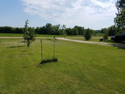 Large Vining/Henning Estate  Auction Real Estate & Personal - image 28