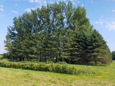 Large Vining/Henning Estate  Auction Real Estate & Personal - image 14