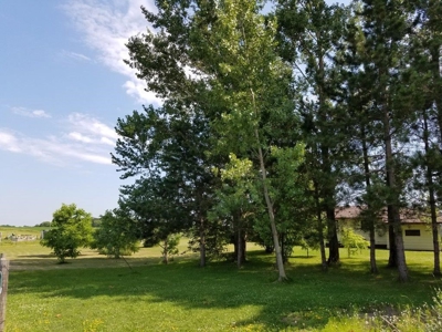 Large Vining/Henning Estate  Auction Real Estate & Personal - image 19