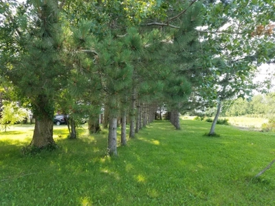 Large Vining/Henning Estate  Auction Real Estate & Personal - image 30