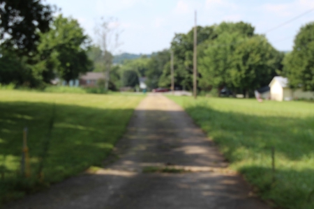 Brick Home and Acreage Selling @ Auction in Bowling Green Ky - image 7