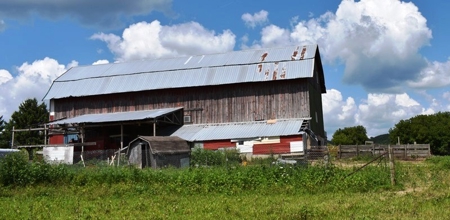 Cazenovia Hobby Farm L - image 33