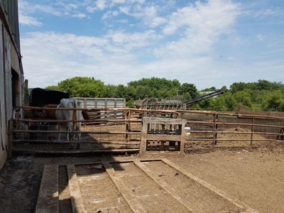 Cazenovia Hobby Farm L - image 25
