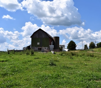 Cazenovia Hobby Farm L - image 32