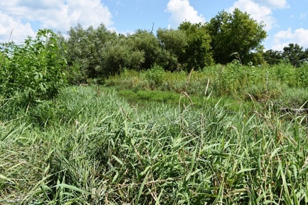 Cazenovia Hobby Farm L - image 41