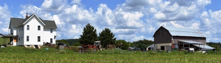 Cazenovia Hobby Farm L - image 37