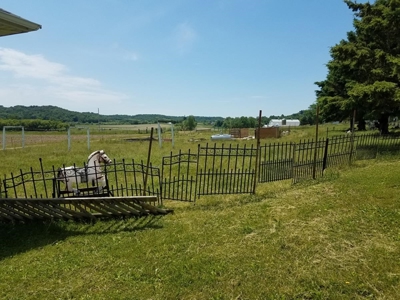 Cazenovia Hobby Farm L - image 16