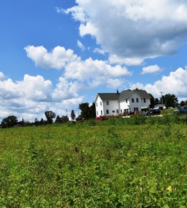 Cazenovia Hobby Farm L - image 35
