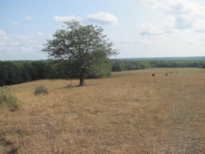 Home and Land for sale, Schuyler Co. Mo Hunting Property - image 3