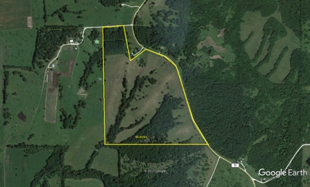 Home and Land for sale, Schuyler Co. Mo Hunting Property - image 6