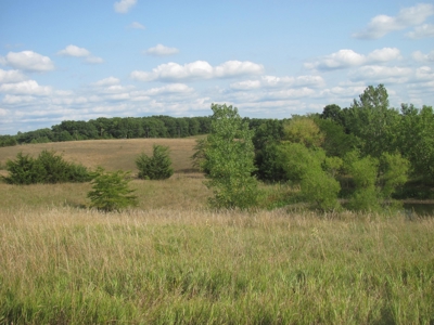 Home and Land for sale, Schuyler Co. Mo Hunting Property - image 2