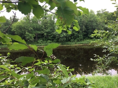 Big Falls Area  River Front Home - image 10