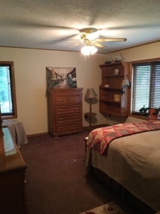 Big Falls Area  River Front Home - image 38