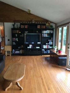 Big Falls Area  River Front Home - image 35