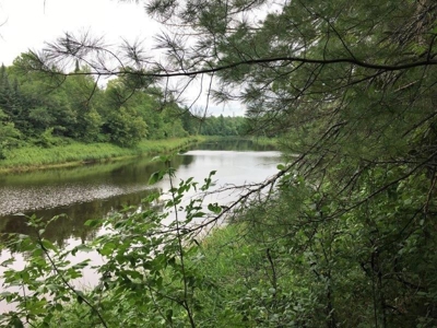 Big Falls Area  River Front Home - image 11