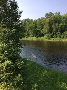 Big Falls Area  River Front Home - image 3