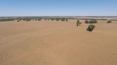 388 Acres Falls County – Located on CR 202 near Highbank - image 9