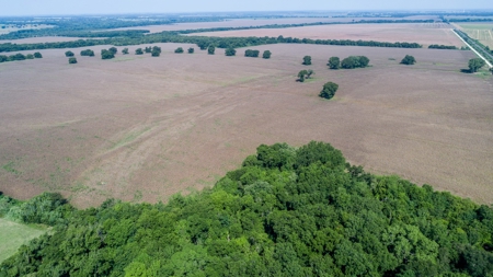 388 Acres Falls County – Located on CR 202 near Highbank - image 10