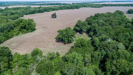 388 Acres Falls County – Located on CR 202 near Highbank - image 8