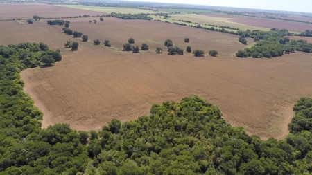 388 Acres Falls County – Located on CR 202 near Highbank - image 6