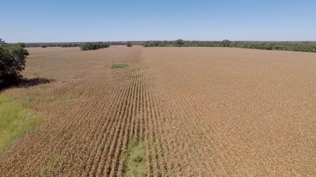 388 Acres Falls County – Located on CR 202 near Highbank - image 7