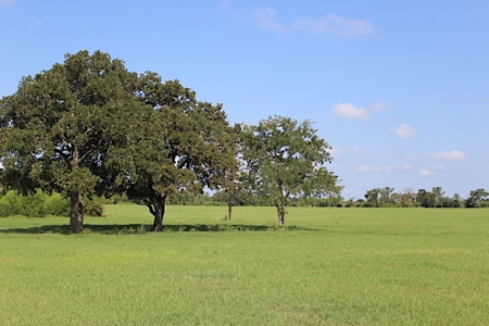 North Zulch Land Auction - image 10