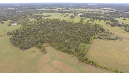 North Zulch Land Auction - image 8