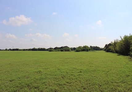 North Zulch Land Auction - image 4