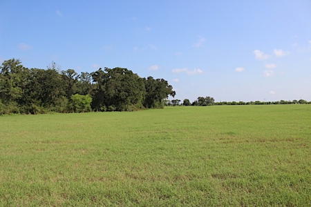 North Zulch Land Auction - image 2
