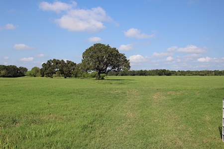 North Zulch Land Auction - image 3