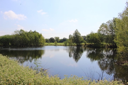 North Zulch Land Auction - image 1