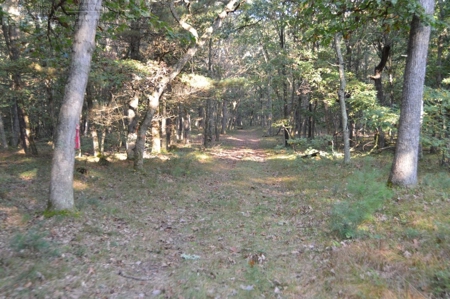 Flying J Ranch - Phenomenal Hunting Land - image 35