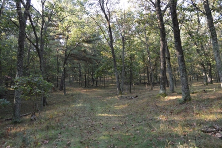 Flying J Ranch - Phenomenal Hunting Land - image 18