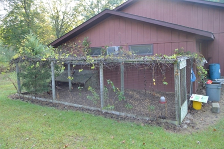 Flying J Ranch - Phenomenal Hunting Land - image 15