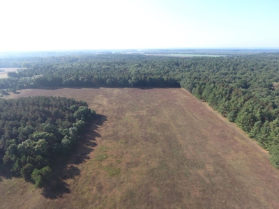 Flying J Ranch - Phenomenal Hunting Land - image 29