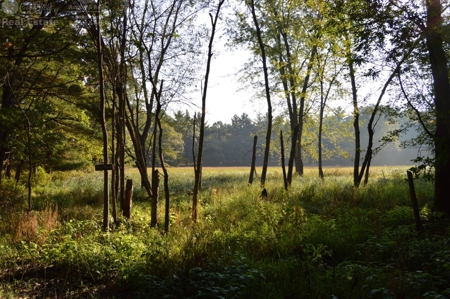Flying J Ranch - Phenomenal Hunting Land - image 19