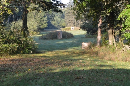 Flying J Ranch - Phenomenal Hunting Land - image 11