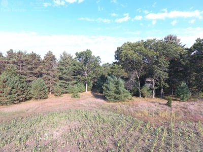 Flying J Ranch - Phenomenal Hunting Land - image 28