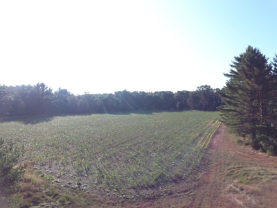 Flying J Ranch - Phenomenal Hunting Land - image 27